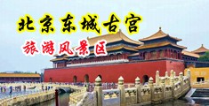 大鸡巴操逼视频免费观看中国北京-东城古宫旅游风景区